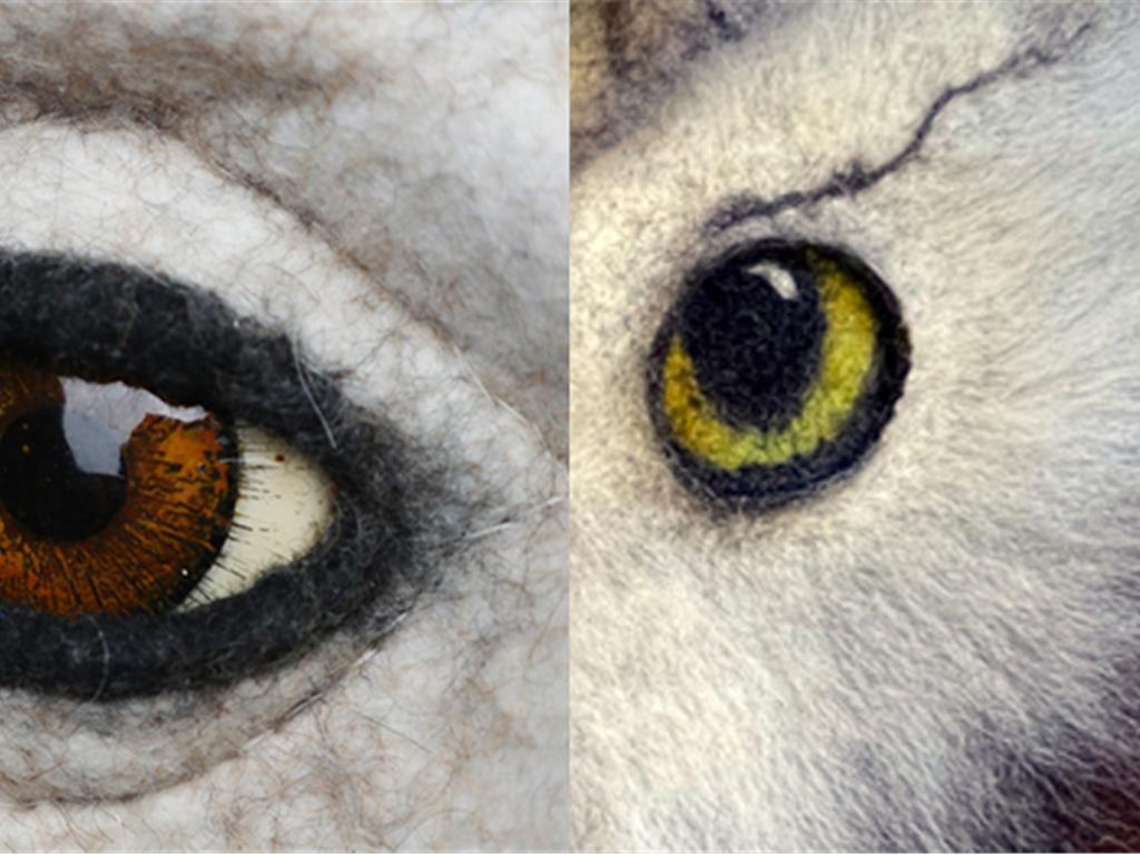 Samples-Towards a Fantasy Mask